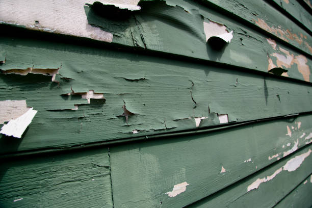 Affordable Siding Repair and Maintenance Services in Worthington Hills, KY